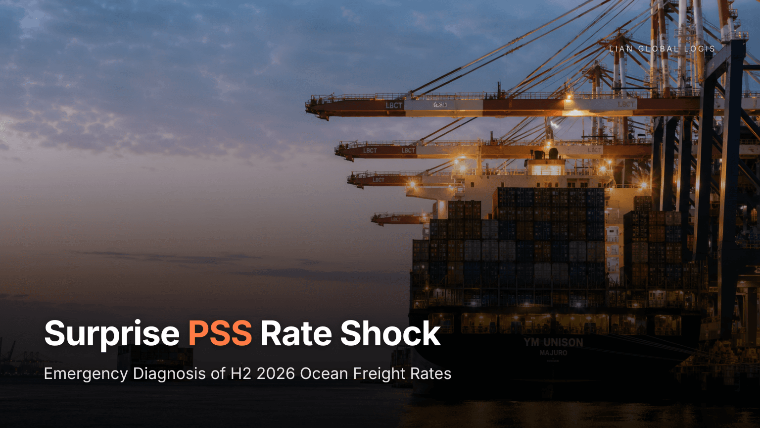 Red Sea Crisis Prolongation and Peak Season Surcharge (PSS): Logistics Cost Defense Strategy for H2 2025